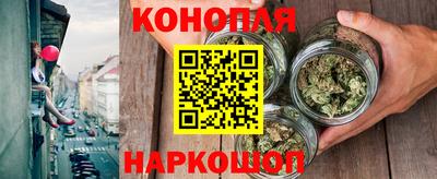 сатива Краснодар