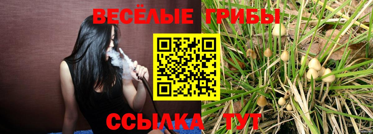 Псилоцибиновые грибы мухоморы Киселёвск