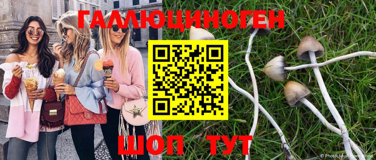 где купить наркотик  Вход с VPN  Псилоцибиновые грибы Magic Shrooms  Киселёвск  Галлюциногенные грибы мицелий 